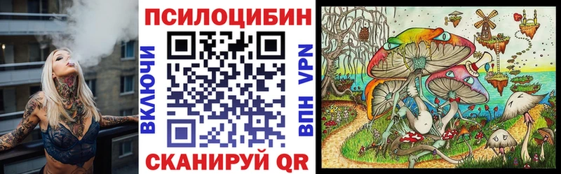 Галлюциногенные грибы Cubensis  Верея 