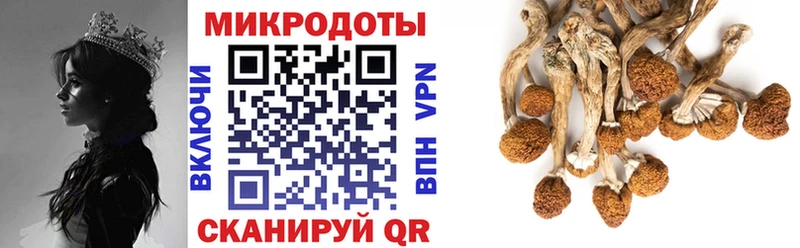 Псилоцибиновые грибы MAGIC MUSHROOMS Верея